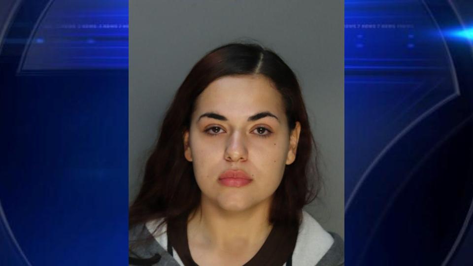 Toddler Injured in Accidental Shooting: Mother, a School Police Officer, Faces Charges