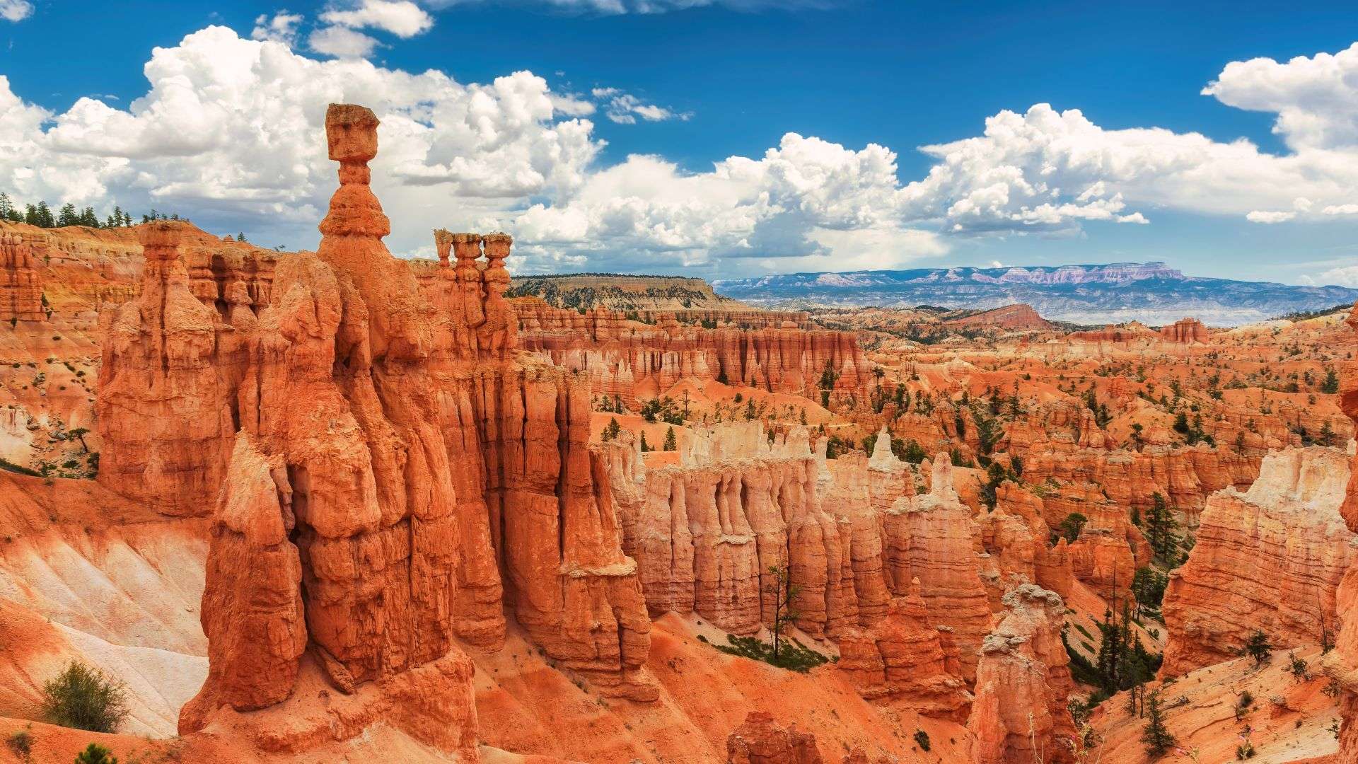 Florida Senate president's husband dies after falling at Utah's Bryce Canyon park - WSVN 7News | Miami News, Weather, Sports - Vimarsana News