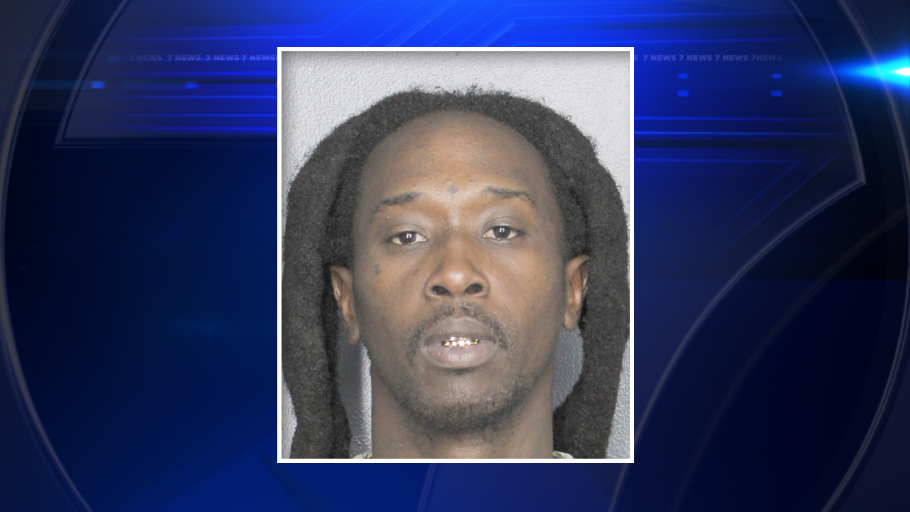 Hit-and-run driver arrested after striking 8-year-old girl in Hallandale Beach; girl in stable condition - WSVN 7News | Miami News, Weather, Sports - Vimarsana News