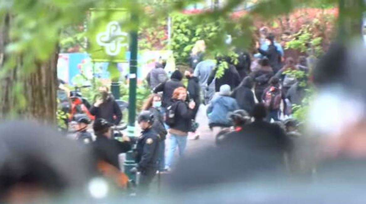 Congressman praises heckling of war protesters, including 1 who made monkey gestures at Black woman – WSVN 7News | Miami News, Weather, Sports | Fort Lauderdale