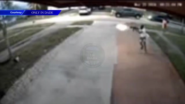 Video shows gunman firing large rifle in Miami Gardens neighborhood in city’s 2nd shootout in less than 2 weeks – WSVN 7News | Miami News, Weather, Sports