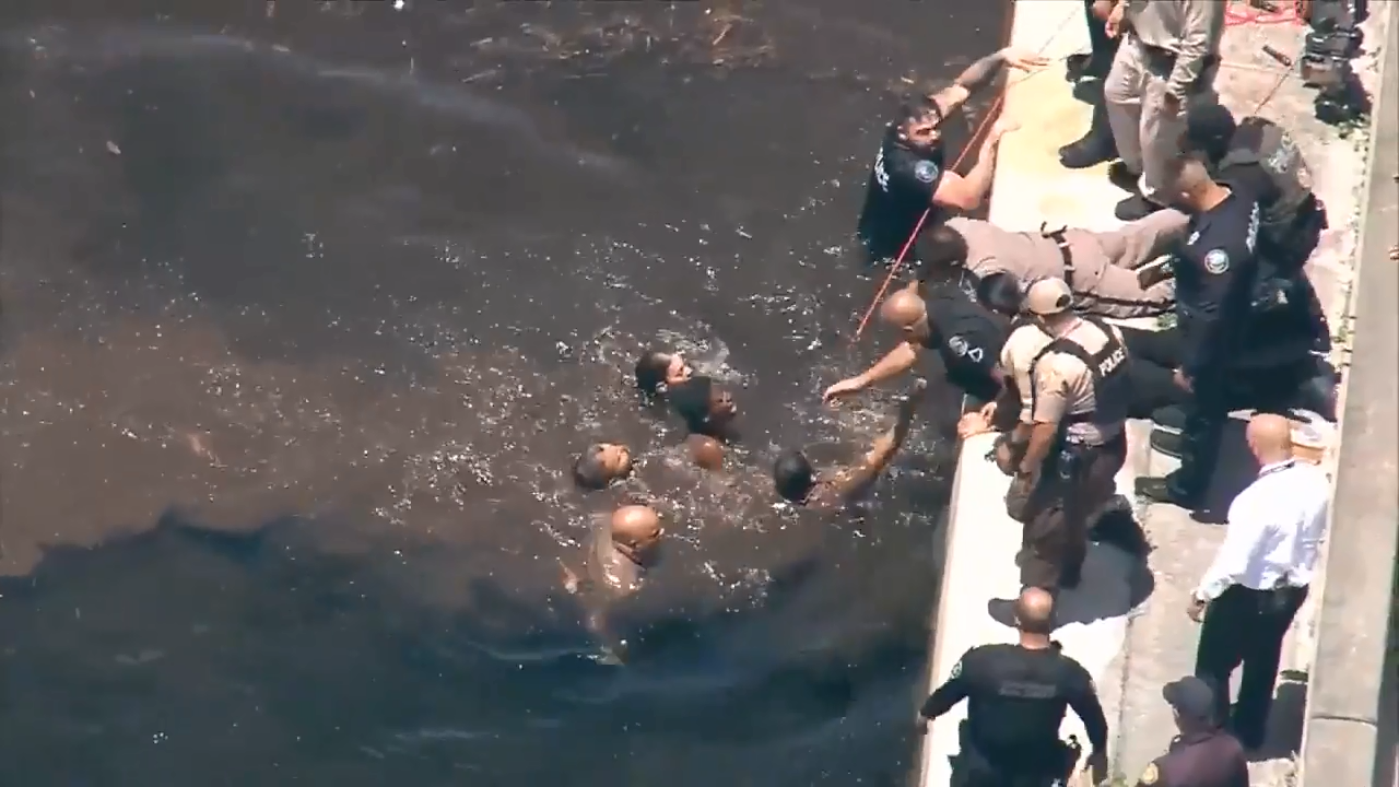 Woman arrested after jumping into pond following police chase in stolen ...