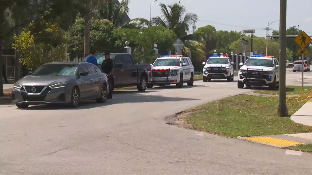 Man arrested after fleeing crime scene in stolen car WSVN 7News