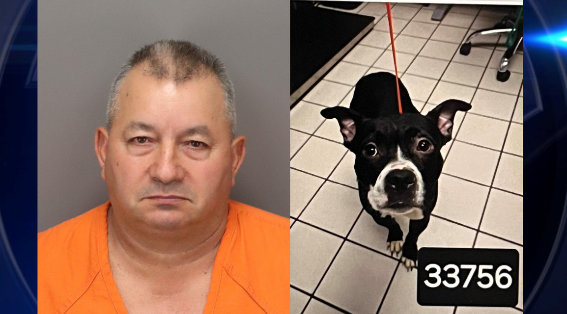 Florida Man Charged with Animal Cruelty After Decapitated Dog Found – Davidson News