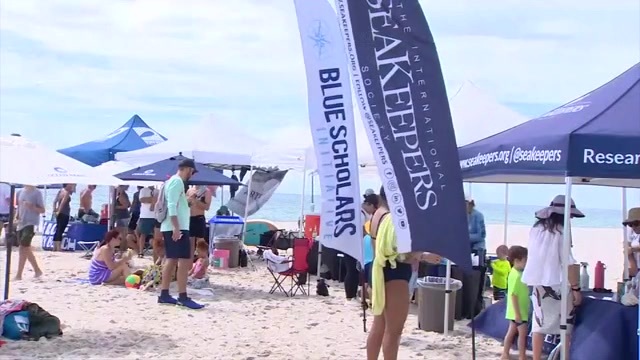 Miami Beach hosts 4th World Ocean Day Celebration – WSVN 7News | Miami News, Weather, Sports