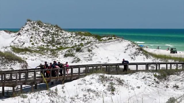 Florida authorities warn of shark dangers along Gulf Coast beaches