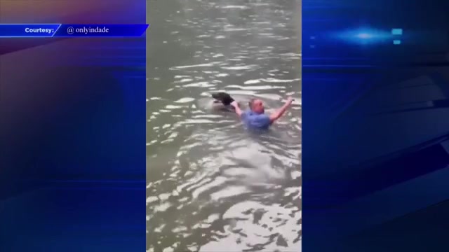 Woman who saved dog on Brickell Key says owner pushed animal into water as stunt ‘for his show,’ then shoved her – WSVN 7News | Miami News, Weather, Sports