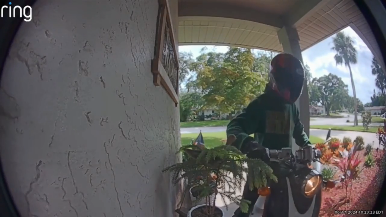 Bradenton porch pirate caught on camera stealing Amazon packages - WSVN ...