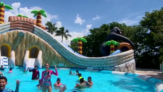 Jungle Island hosts children from Boys & Girls Clubs of Miami-Dade for preview of new summer attraction – WSVN 7News | Miami News, Weather, Sports