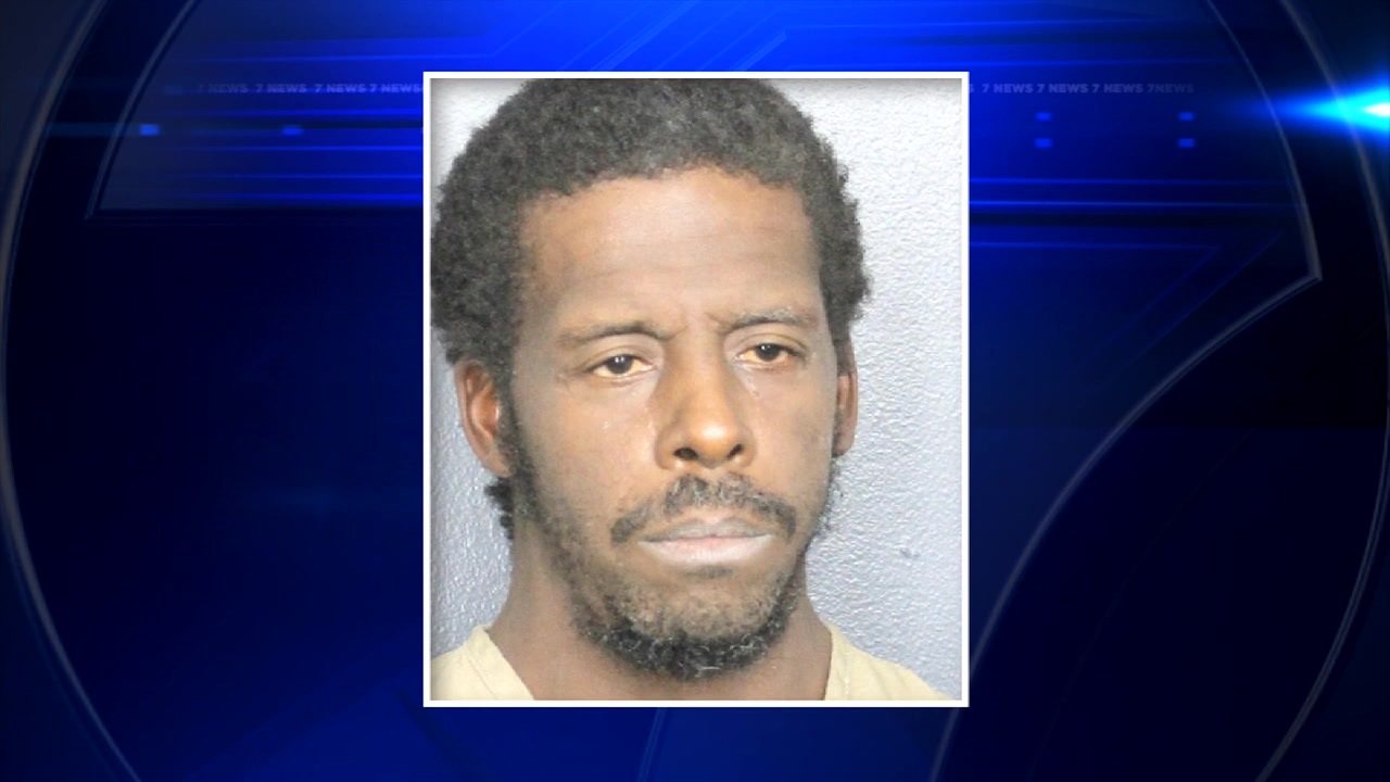 Man charged with grand theft auto after Florida Turnpike pursuit