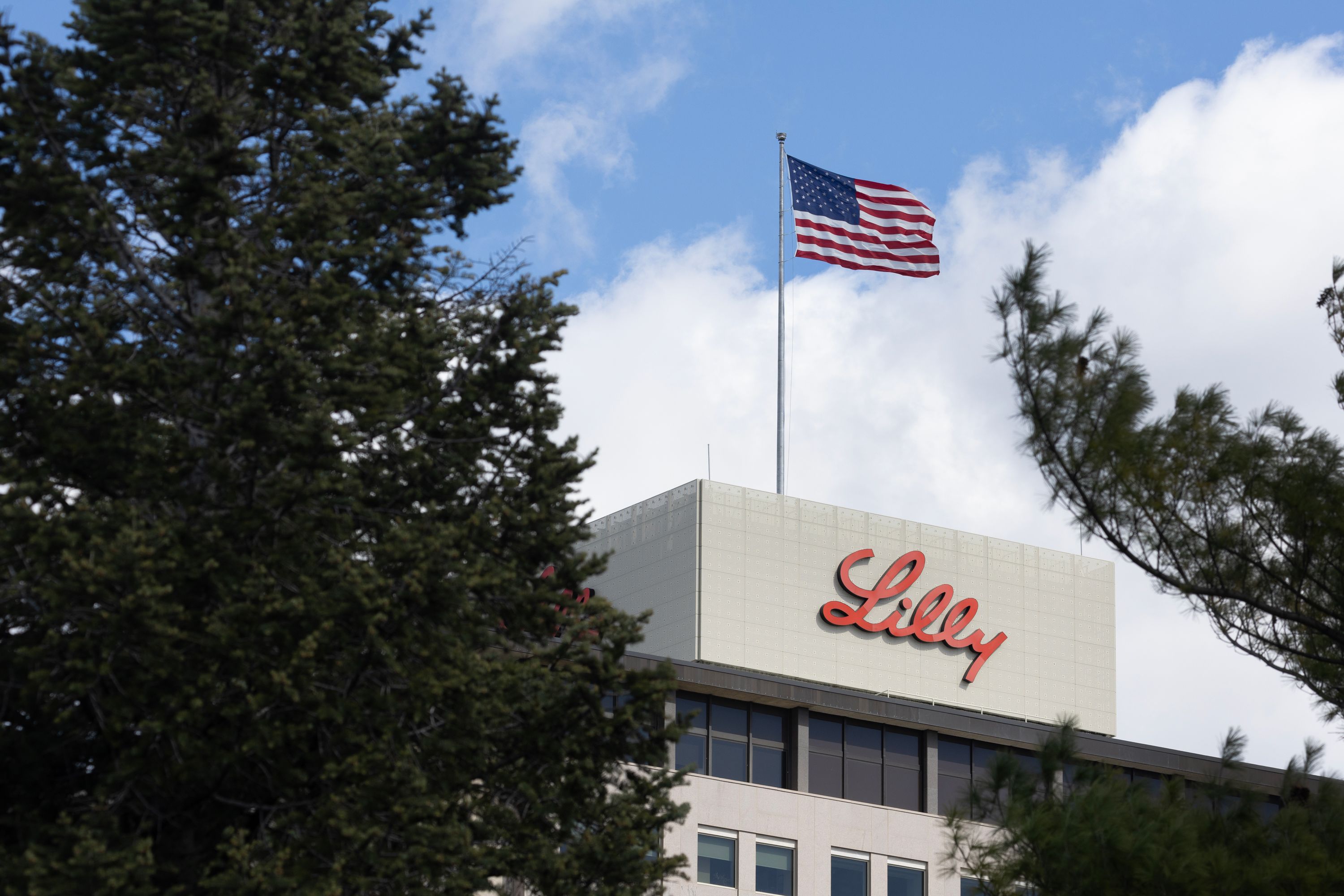 FDA advisers endorse Eli Lilly’s early-stage Alzheimer’s drug donanemab