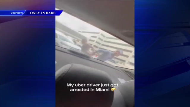 Uber driver detained at MIA after allegedly blocking traffic while dropping off passenger – WSVN 7News | Miami News, Weather, Sports