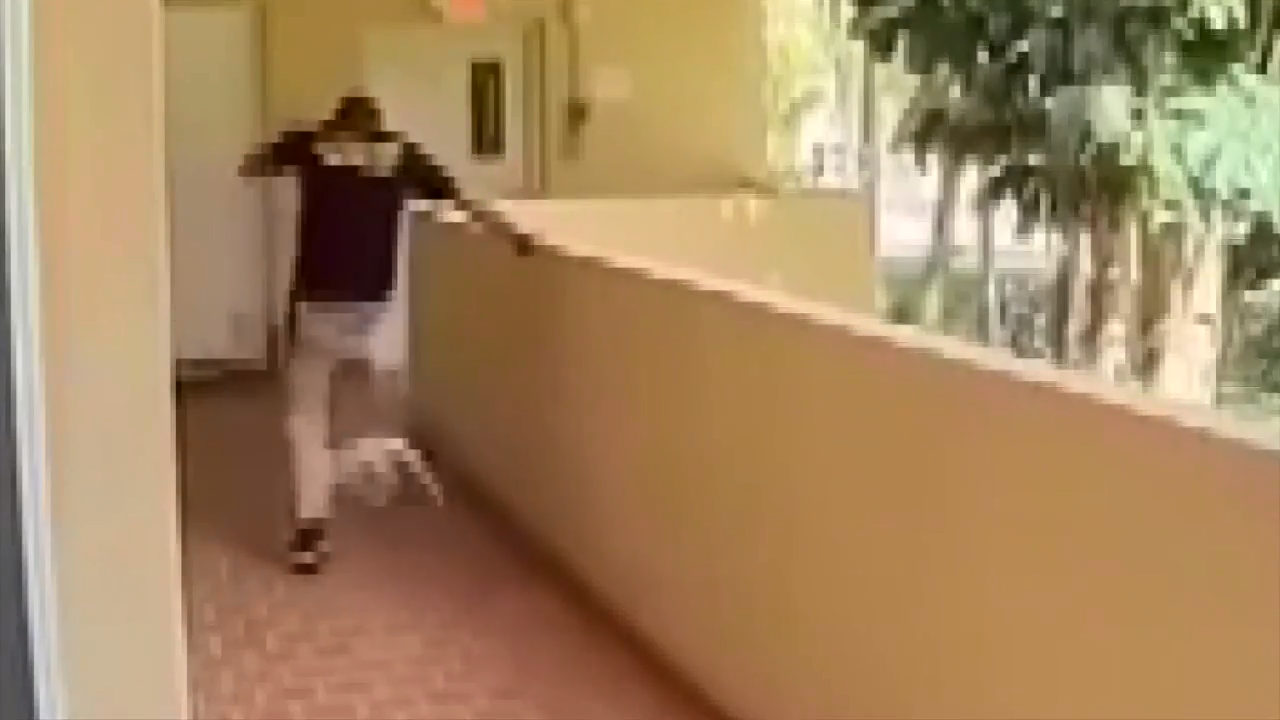 Video shows mobile pet grooming employee kicking dog in neck and head in NE Miami-Dade – WSVN 7News | Miami News, Weather, Sports