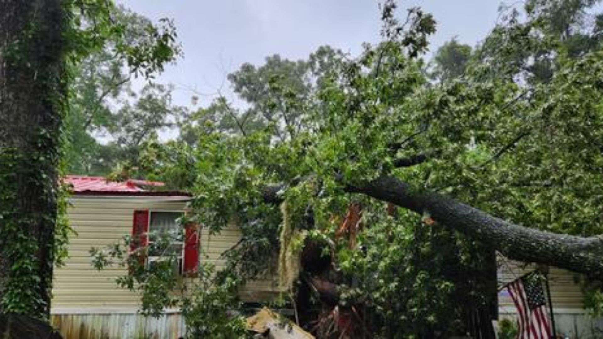 13-year-old boy killed after tree falls on mobile home in Levy County ...