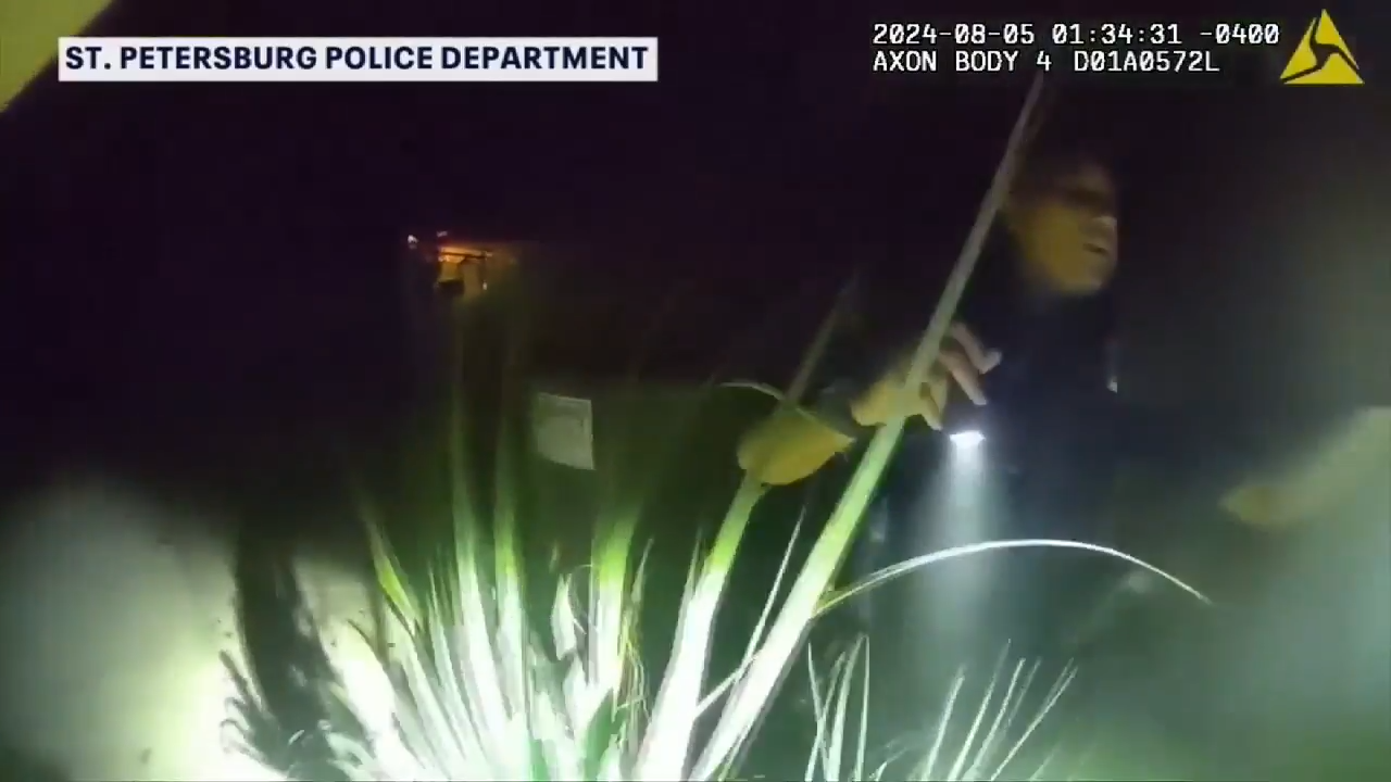 2 officers rescue man from burning home in St. Petersburg - WSVN 7News ...