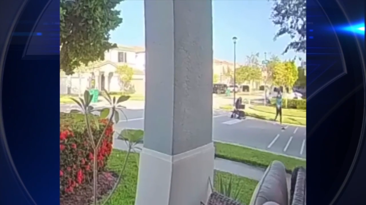 Woman and son hospitalized after being struck by hit-and-run driver in ...