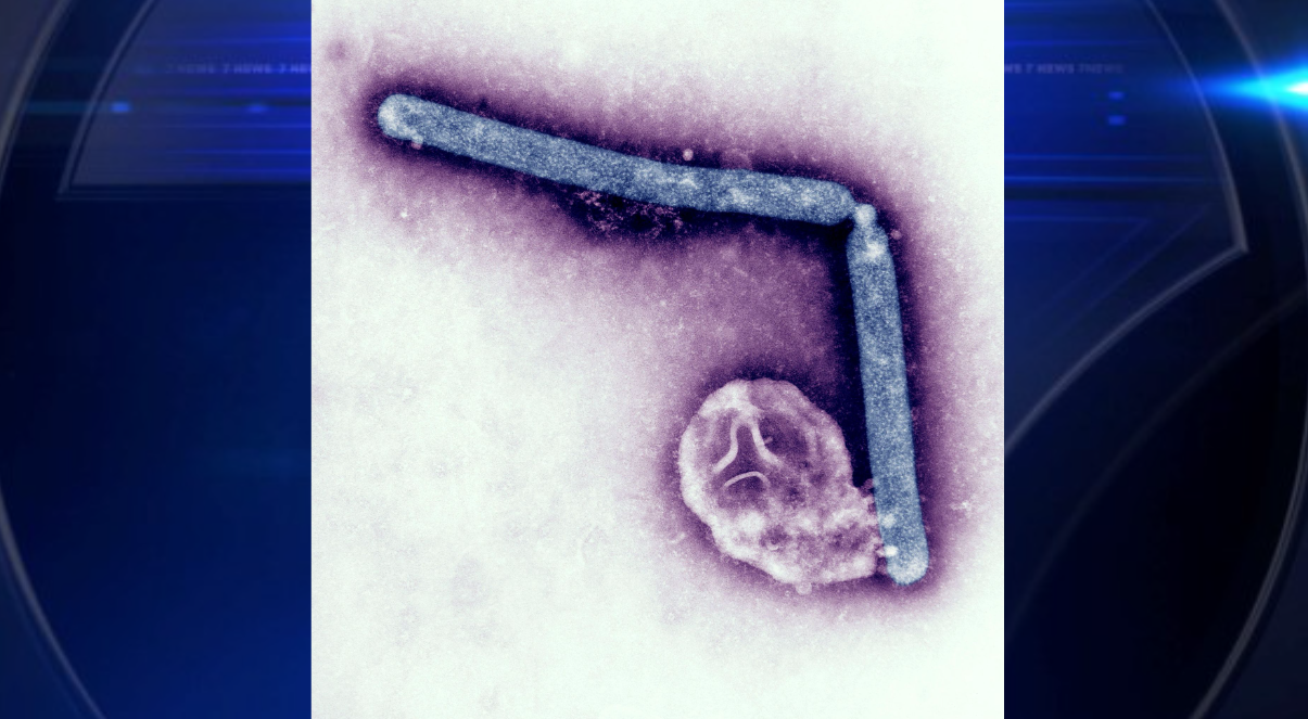USDA orders nationwide testing of milk for bird flu to halt the virus ...