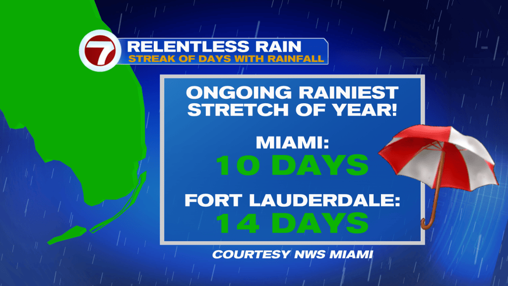Brighter and Drier Weather this Weekend - WSVN 7News | Miami News ...