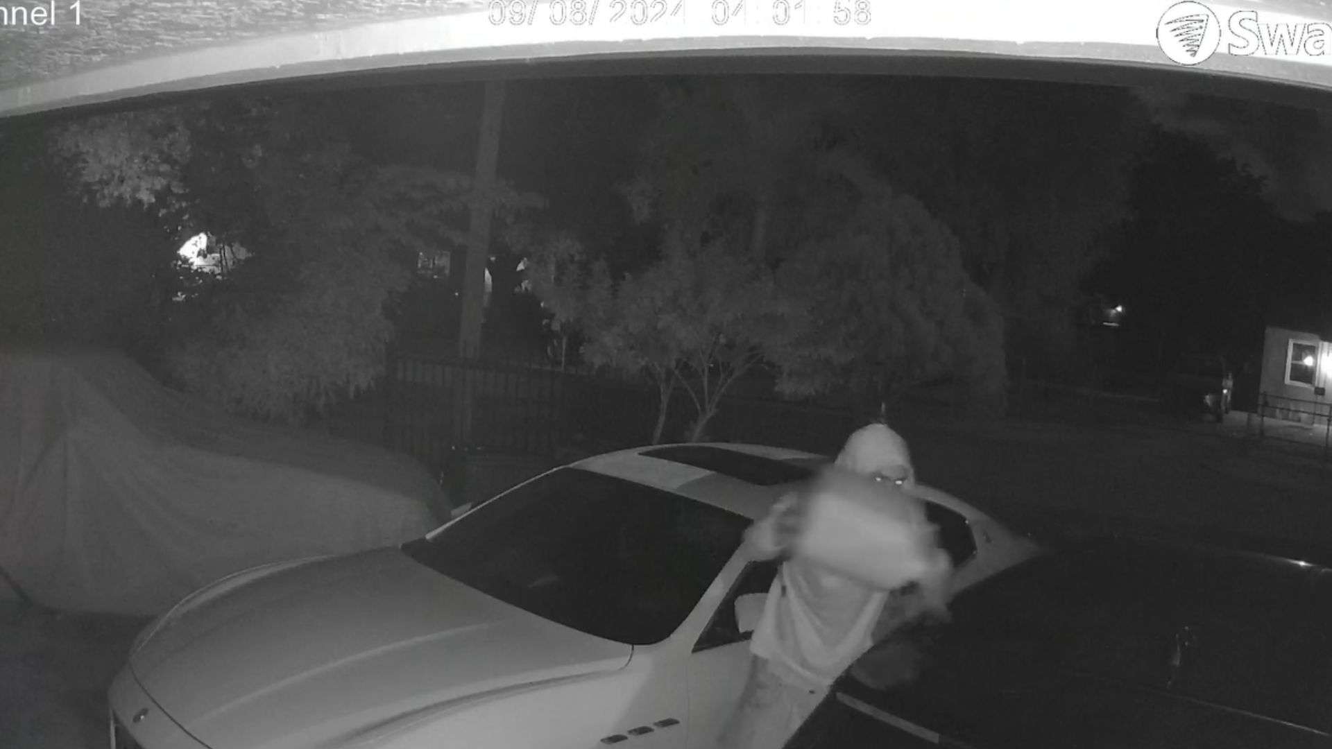 Video shows arson suspect setting fire to cars in Lauderhill - WSVN ...
