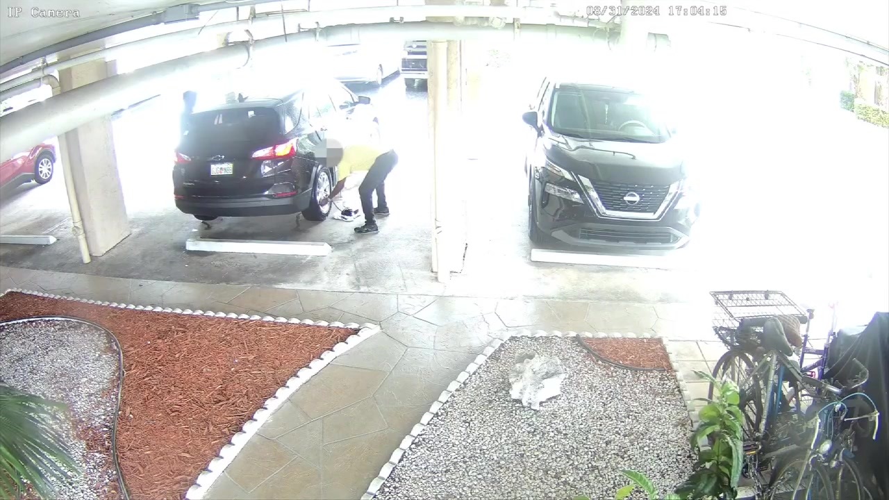 Police search for alleged car thief in North Lauderadale WSVN 7News Miami News, Weather