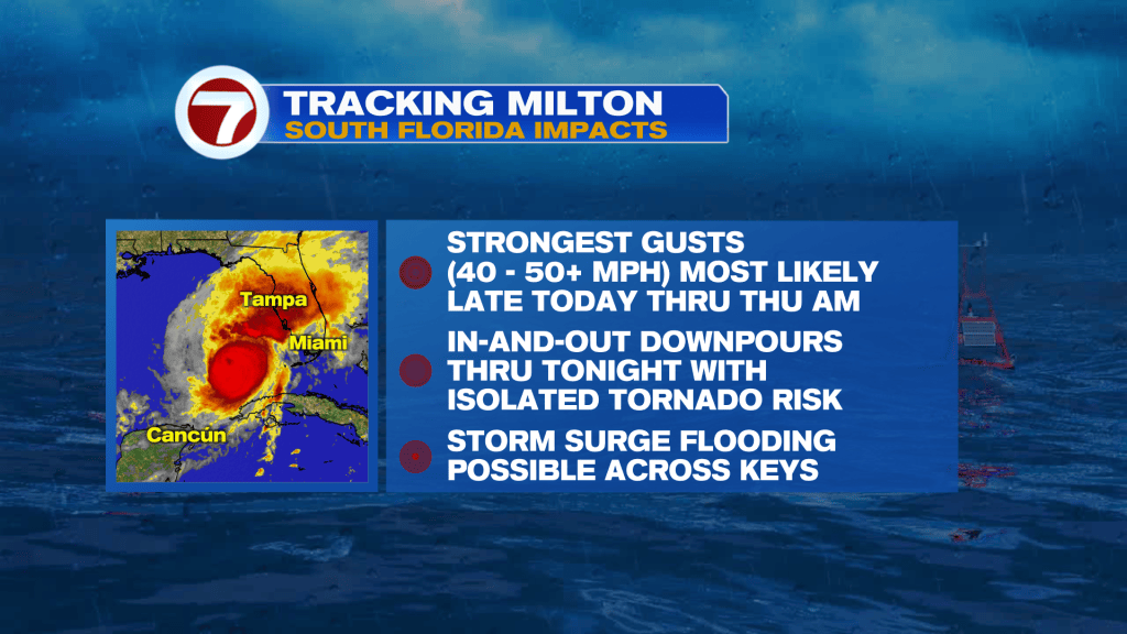 Powerful Hurricane Milton to make landfall tonight in Florida - WSVN ...