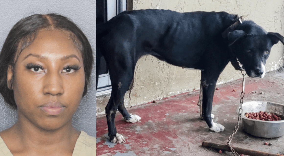 Lauderhill woman charged with aggravated animal cruelty after dog’s ...