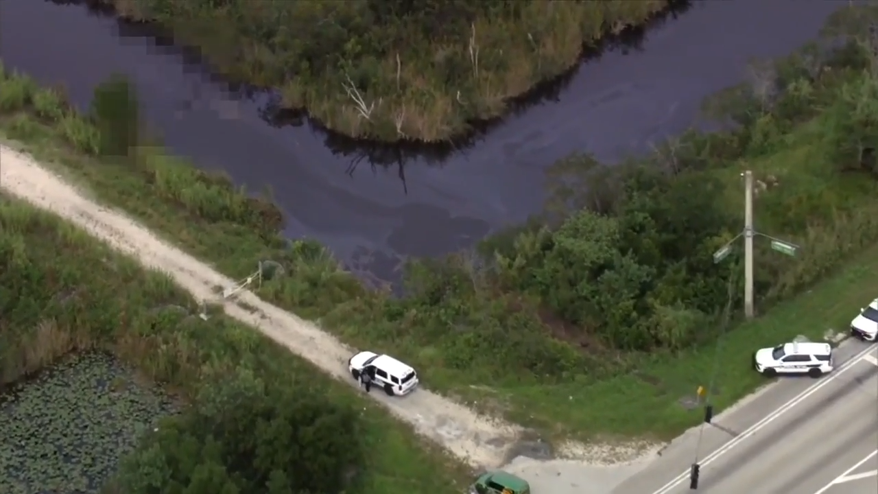 Police respond to body found in canal in Pembroke Pines - WSVN 7News ...