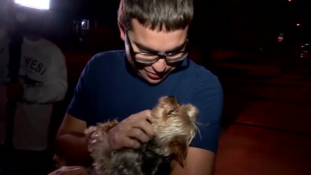 ‘I got my baby back’: Yorkie taken from Hialeah home returned to owner after video showed man picking up pet – WSVN 7News | Miami News, Weather, Sports
