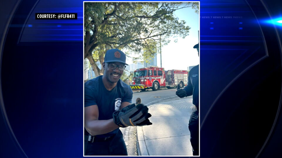 FLFR crews rescue duckling trapped in sewer drain - WSVN 7News | Miami ...