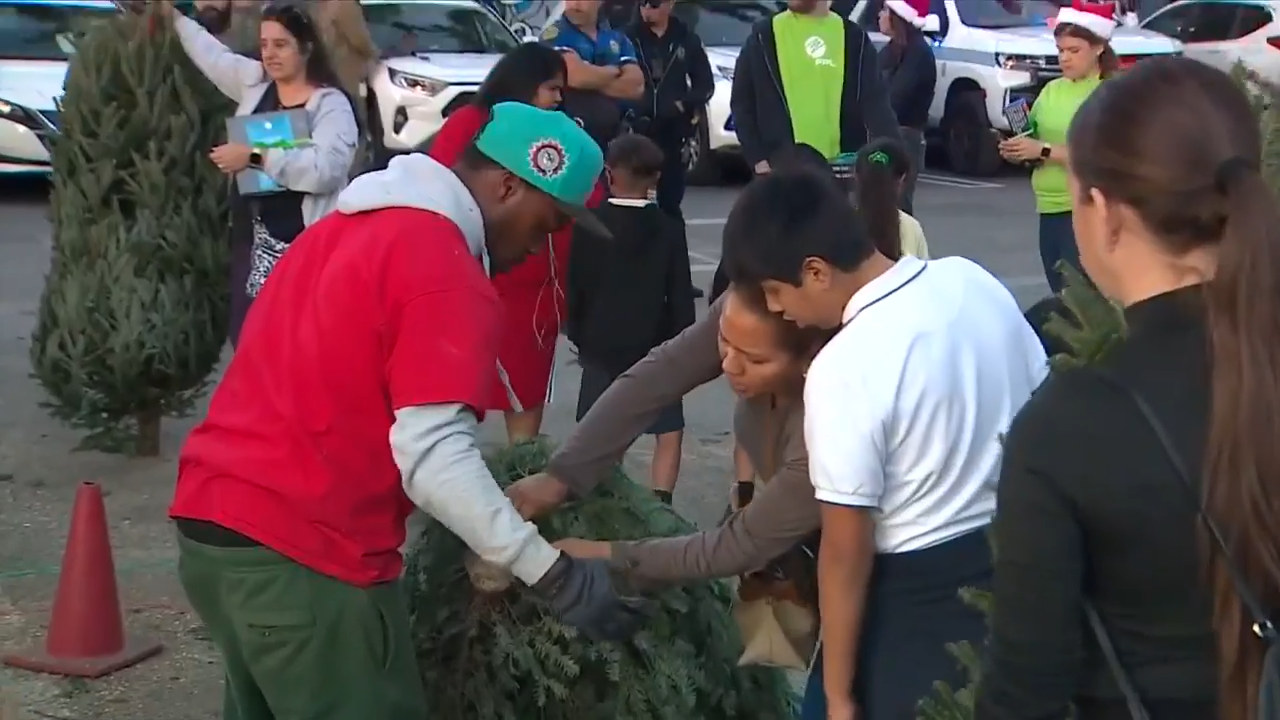 Boys & Girls Clubs of Miami-Dade and FPL hand out 200 Christmas trees – WSVN 7News | Miami News, Weather, Sports | Fort Lauderdale Boys & Girls Clubs of Miami-Dade and FPL hand out 200 Christmas trees – WSVN 7News | Miami News, Weather, Sports | Fort Lauderdale