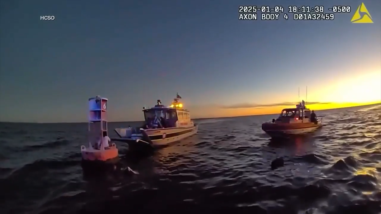 2 boaters and dog rescued after getting stranded at sea near Tampa