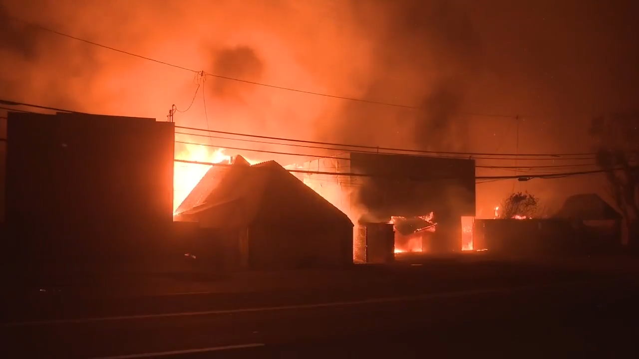 Hollywood Hills fire breaks out as deadly wildfires burn out of control across Los Angeles area