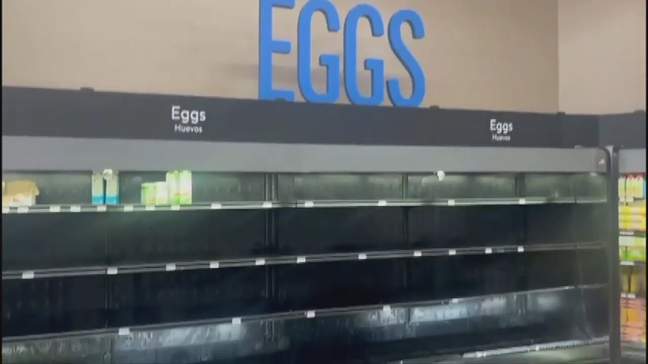 Egg shortage reportedly caused by birdflu leads South Floridians to