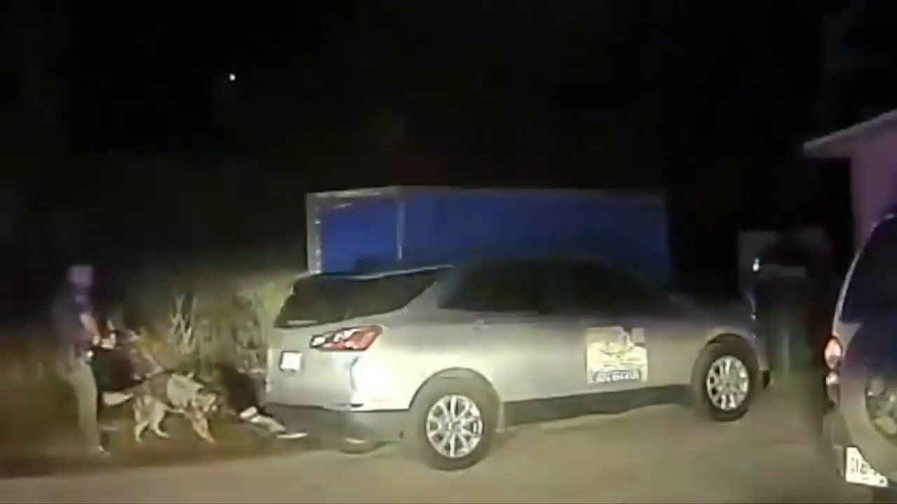 K9 unit helps deputies arrest suspect following chase in Brevard County ...