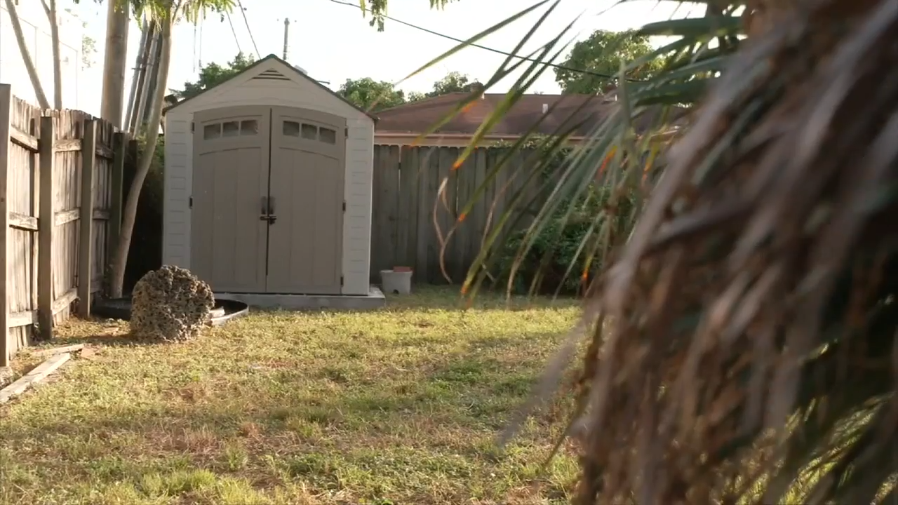 Sold A Shed That’s Illegal in Miami Dade County – WSVN 7News | Miami News, Weather, Sports