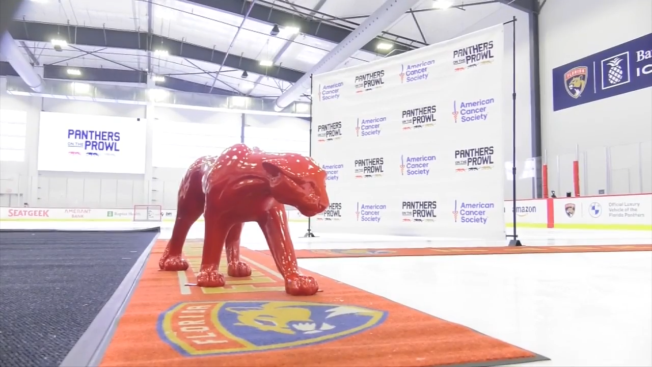 The Florida Panthers partner with American Cancer Society in fundraising campaign – WSVN 7News | Miami News, Weather, Sports | Fort Lauderdale