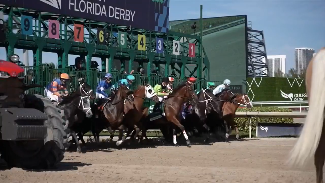 Horse racing fans are in for a treat at Curlin Florida Derby, as Gulfstream Park unveils allyou