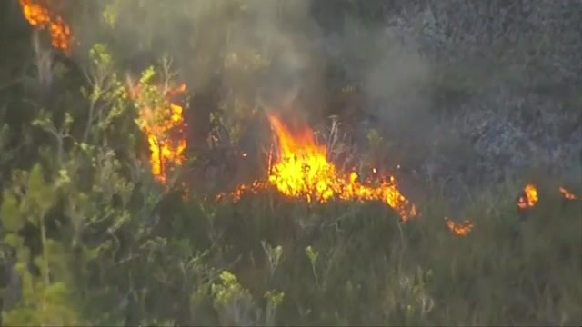 South Miami Dade brush fire burns for 9th day amid dry conditions