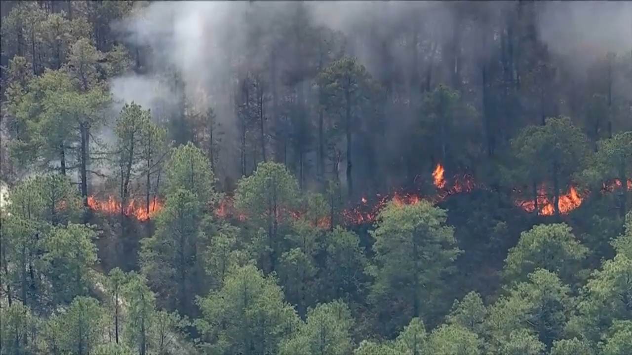 Man charged with arson after authorities say he sparked New Jersey Pine ...