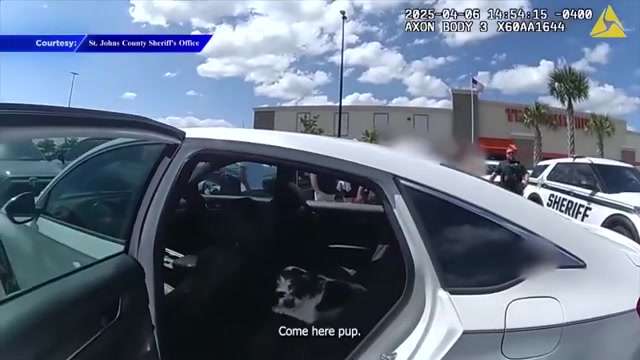 Bodycam video shows deputy breaking window to save dog in hot car in St ...