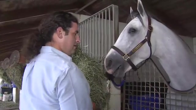 South Florida horse trainer and owner sends off Neoequos to compete in Kentucky Derby – WSVN 7News | Miami News, Weather, Sports | Fort Lauderdale