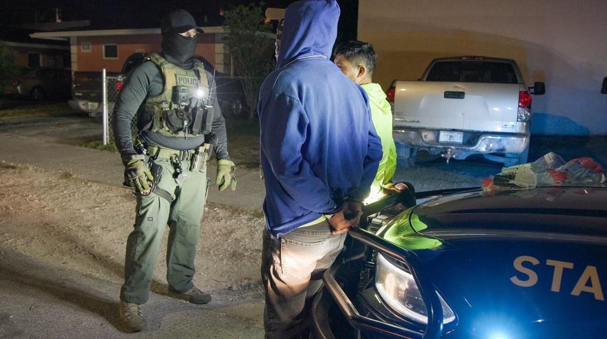 Bite Model Examples ICE, Florida law enforcement arrest nearly 800 undocumented immigrants ...