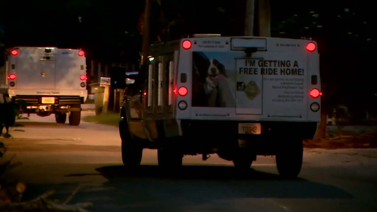 Woman hospitalized after dog attack in Fort Lauderdale - WSVN 7News ...