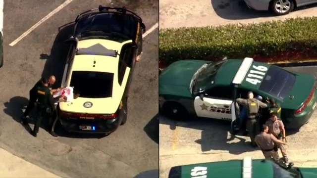 2 in custody, 1 on the loose after pursuit on I-595 ends in bailout in ...