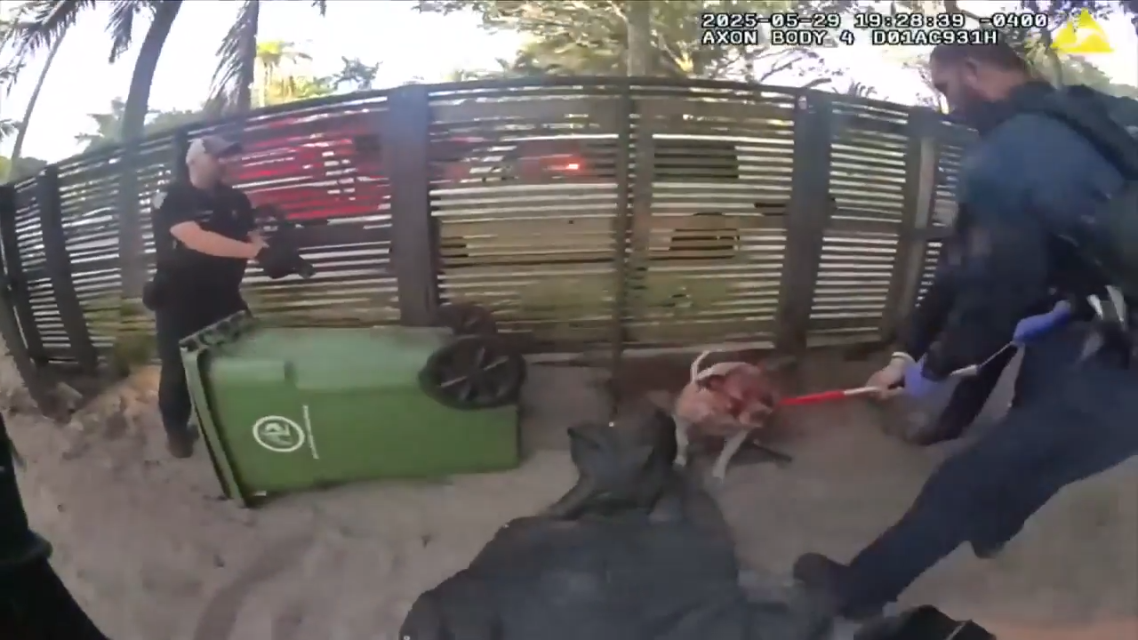 Body cam shows animal control officer being attacked by dog in Fort ...