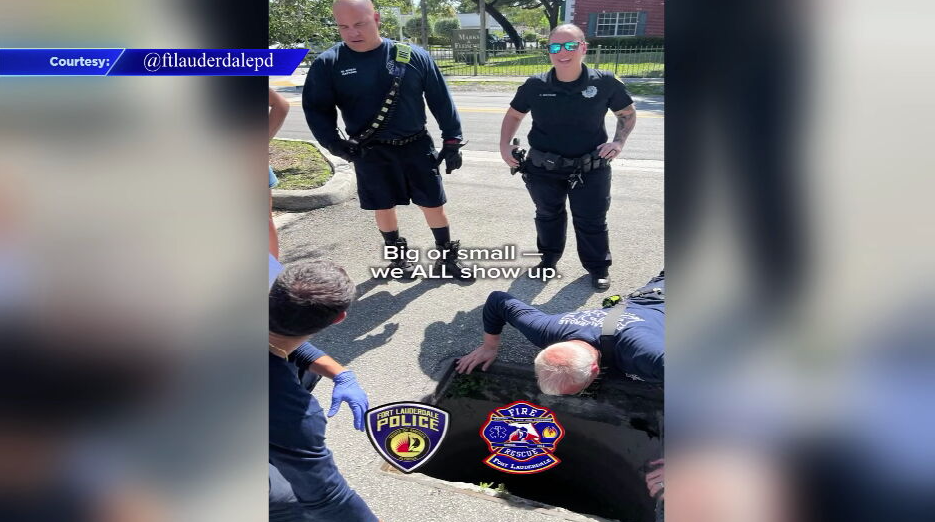 Fort Lauderdale Police officers rescue 12 ducklings trapped in storm ...