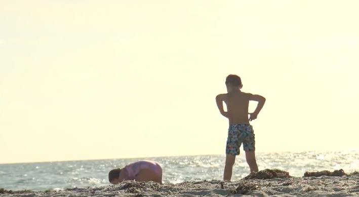 Inactive World War II-era bomb washes ashore on Florida beach - WSVN 7News | Miami News, Weather, Sports | Fort Lauderdale