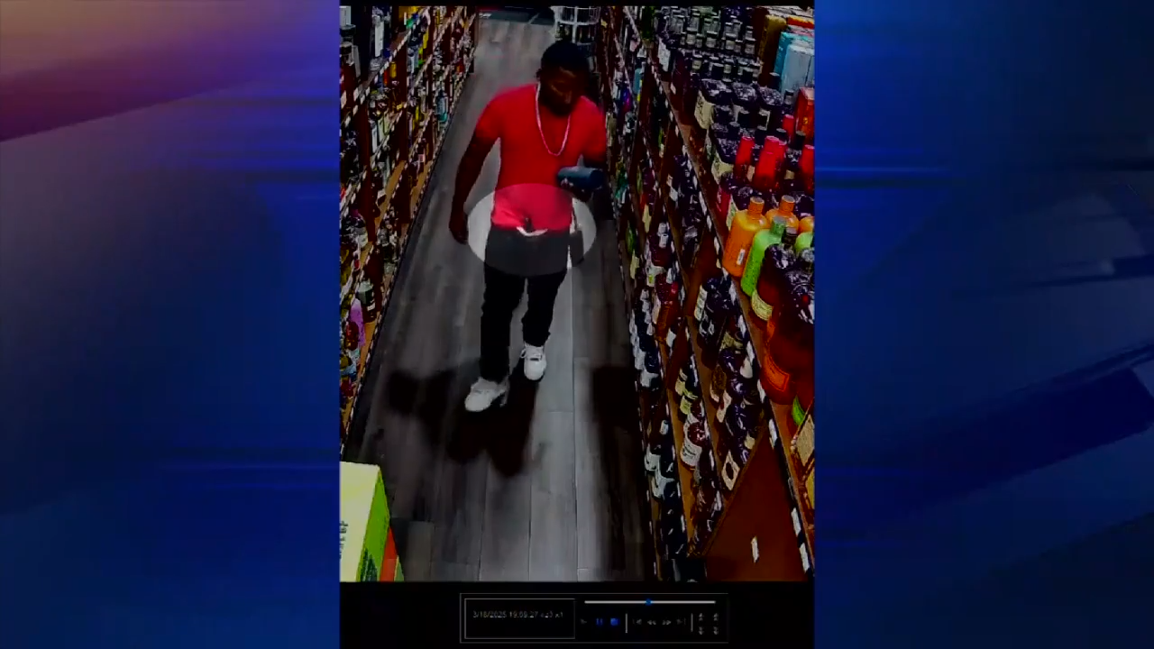 Surveillance video captures repeat criminal stealing liquor from Miami ...