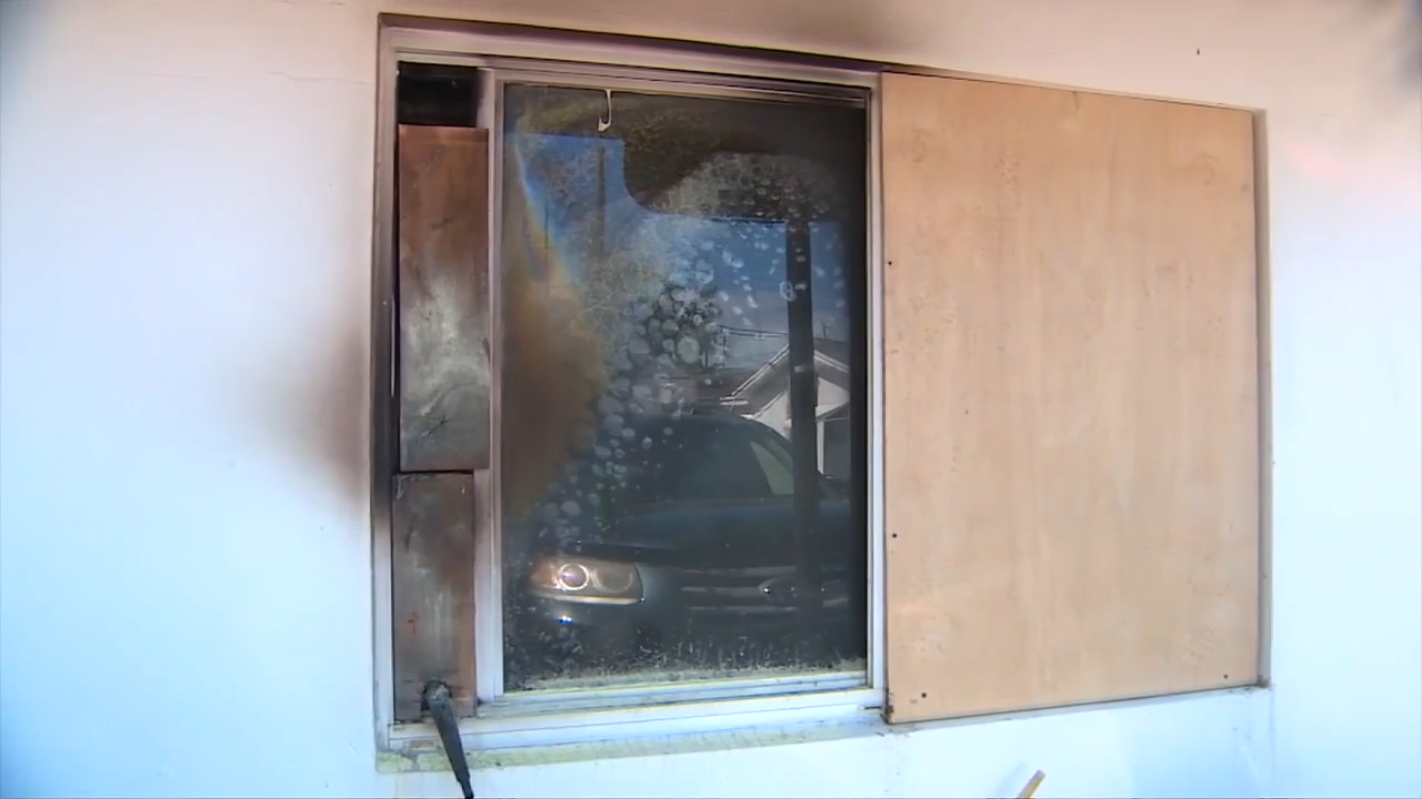 Picture of 3 cats dead, family displaced after fire rips through Tamarac home ...