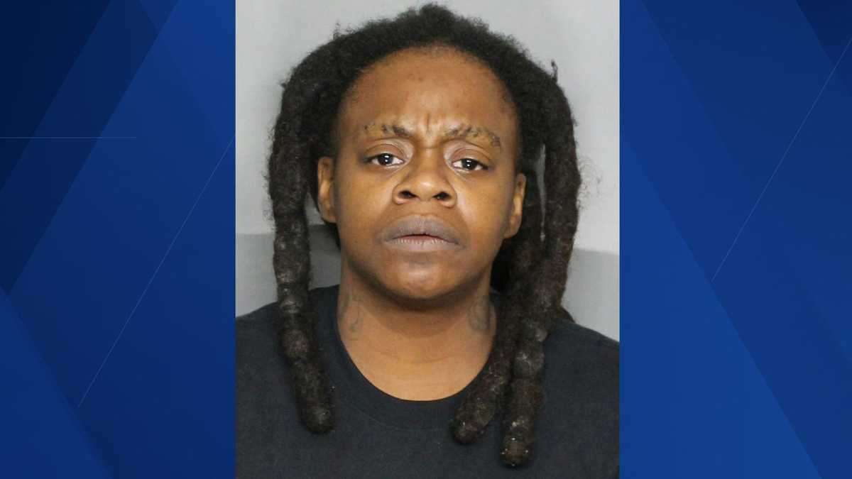 Woman arrested for leading FHP troopers on 28-mile drunken high-speed ...